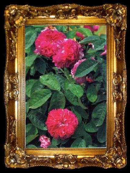 framed  unknow artist Still life floral, all kinds of reality flowers oil painting  336, ta009-2